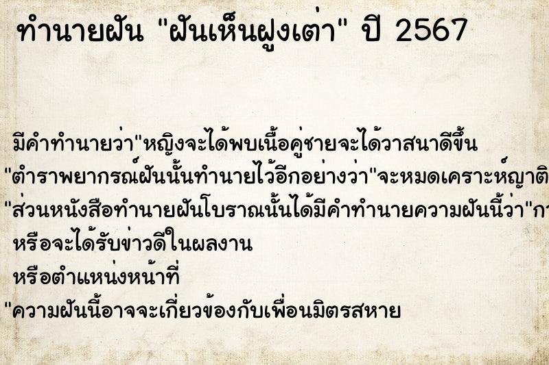 ทำนายฝันทำนายฝันฝันเห็นฝูงเต่า