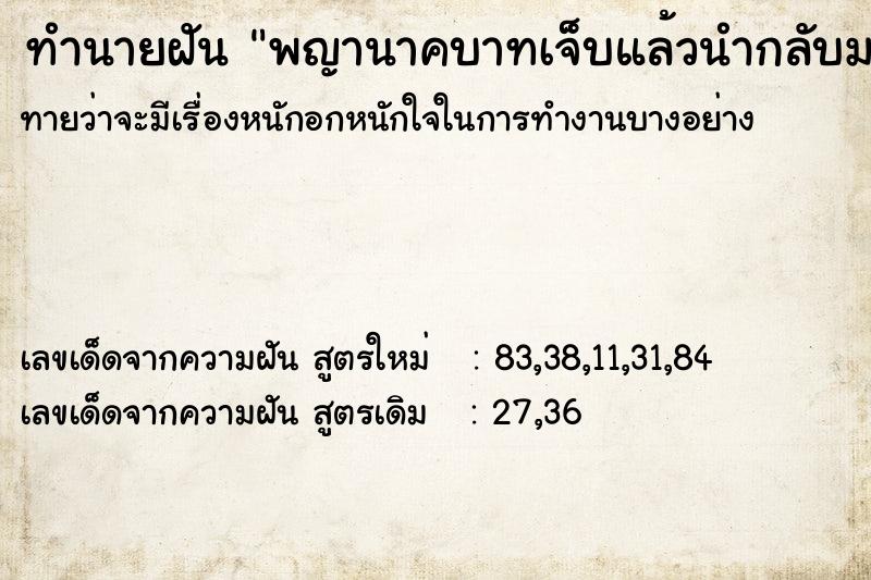 ทำนายฝันทำนายฝันพญานาคบาทเจ็บแล้วนำกลับมารักษา