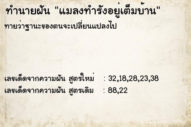 ทำนายฝันแมลงทำรังอยู่เต็มบ้าน ทำนายฝันทำนายฝันแมลงทำรังอยู่เต็มบ้าน