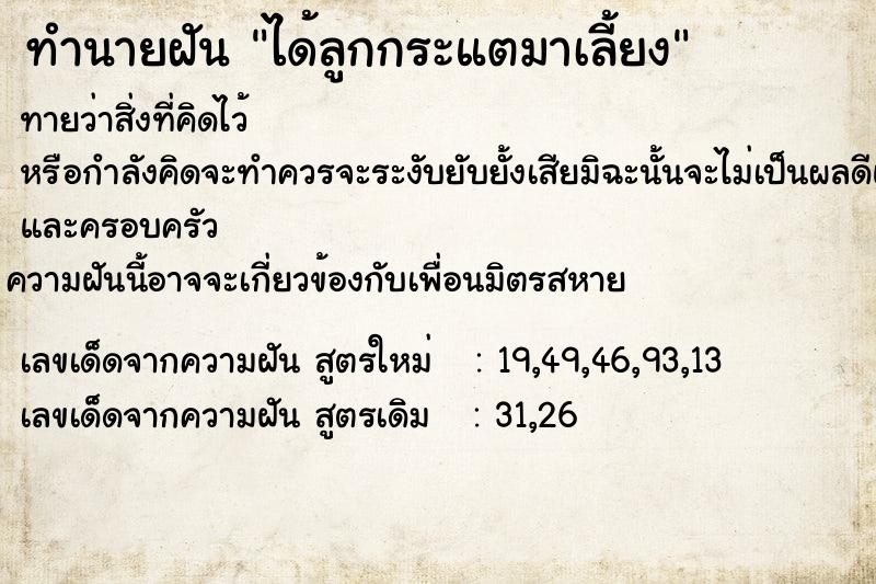 ทำนายฝันทำนายฝันได้ลูกกระแตมาเลี้ยง