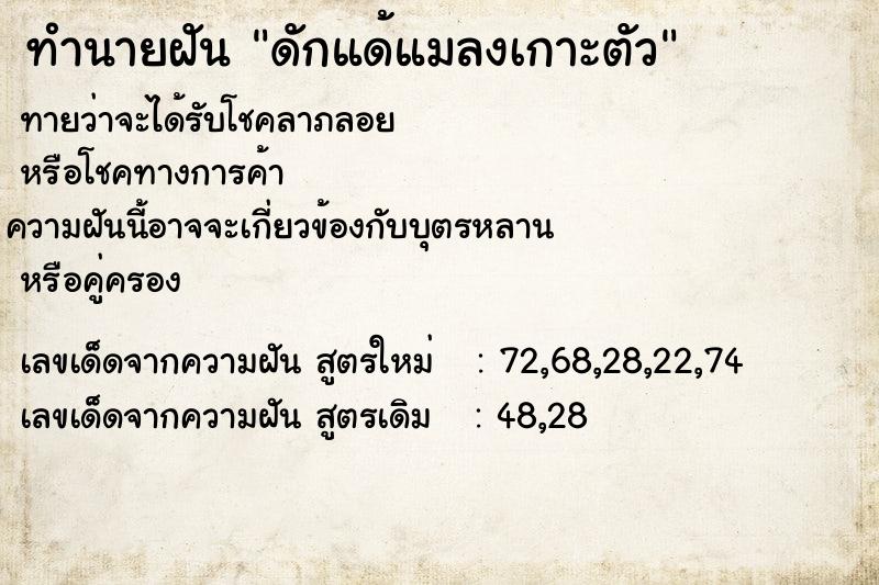 ทำนายฝันทำนายฝันดักแด้แมลงเกาะตัว