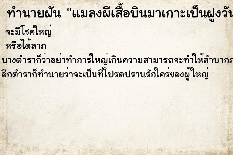 ทำนายฝันแมลงผีเสื้อบินมาเกาะเป็นฝูงวัน ทำนายฝันทำนายฝันแมลงผีเสื้อบินมาเกาะเป็นฝูงวัน