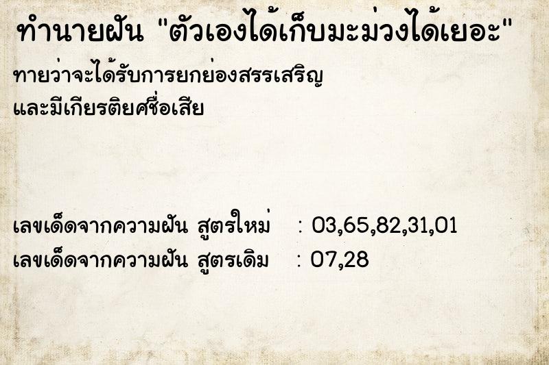ทำนายฝันทำนายฝันตัวเองได้เก็บมะม่วงได้เยอะ