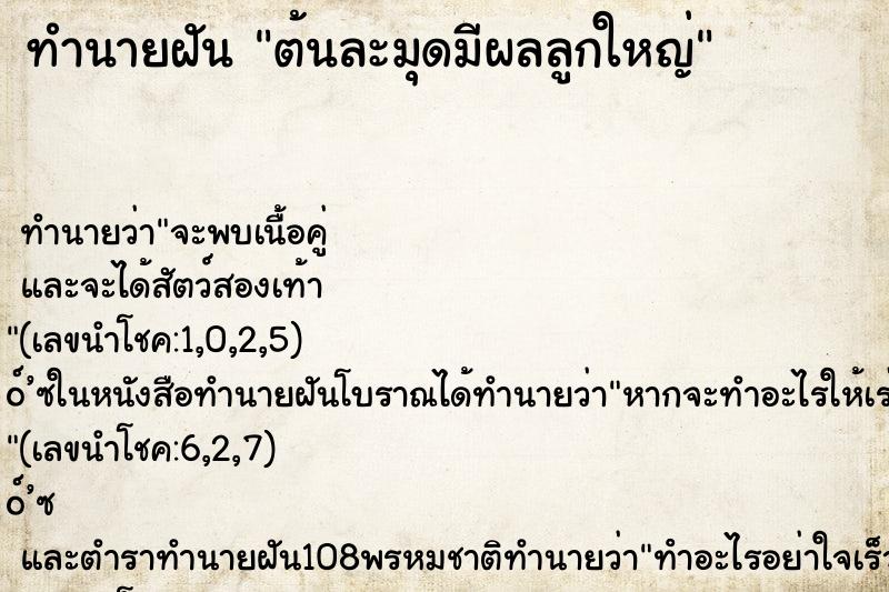 ทำนายฝัน ต้นละมุดมีผลลูกใหญ่
