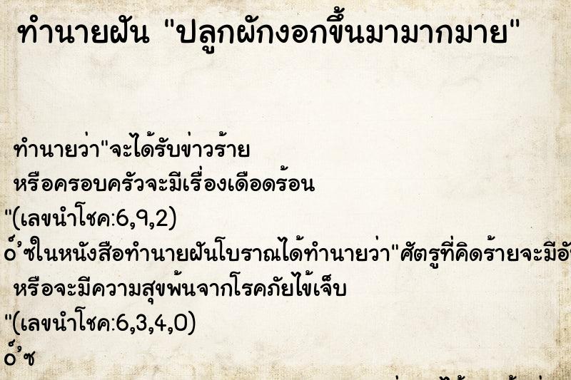 ทำนายฝันทำนายฝันปลูกผักงอกขึ้นมามากมาย