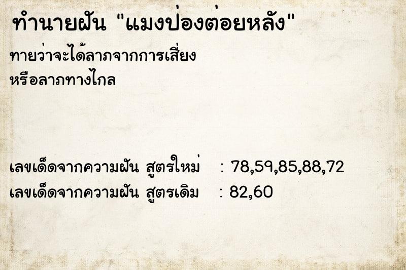 ทำนายฝันแมงป่องต่อยหลัง ทำนายฝันทำนายฝันแมงป่องต่อยหลัง