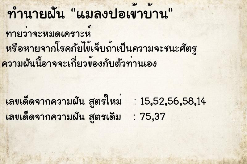 ทำนายฝัน แมลงปอเข้าบ้าน ตำราโบราณ แม่นที่สุดในโลก