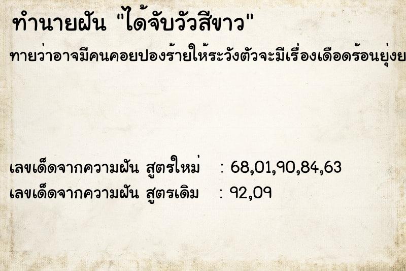 ทำนายฝันทำนายฝันได้จับวัวสีขาว