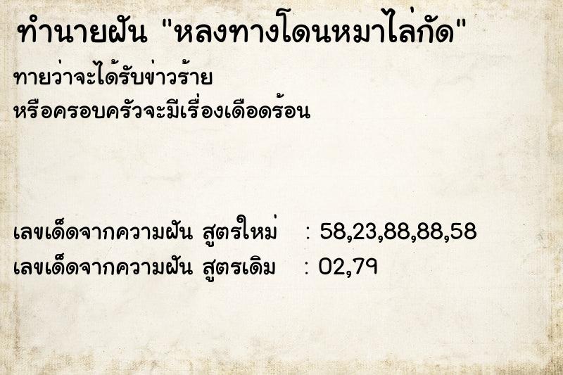 ทำนายฝันทำนายฝันหลงทางโดนหมาไล่กัด
