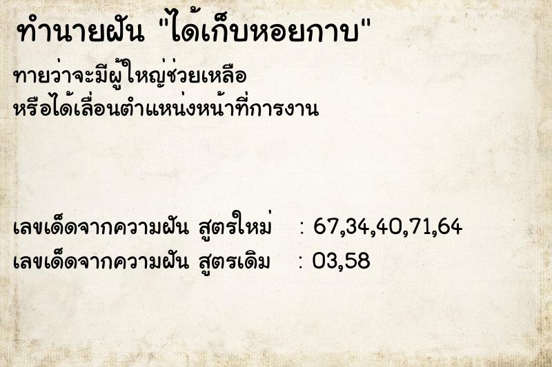 ทำนายฝันได้เก็บหอยกาบ ทำนายฝันทำนายฝันได้เก็บหอยกาบ