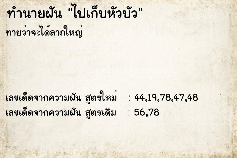 ทำนายฝันไปเก็บหัวบัว ทำนายฝันทำนายฝันไปเก็บหัวบัว