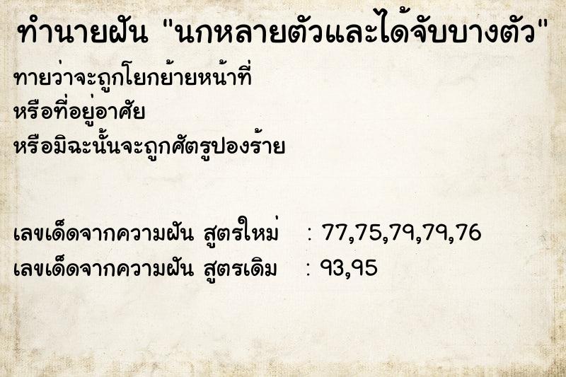 ทำนายฝันทำนายฝันนกหลายตัวและได้จับบางตัว