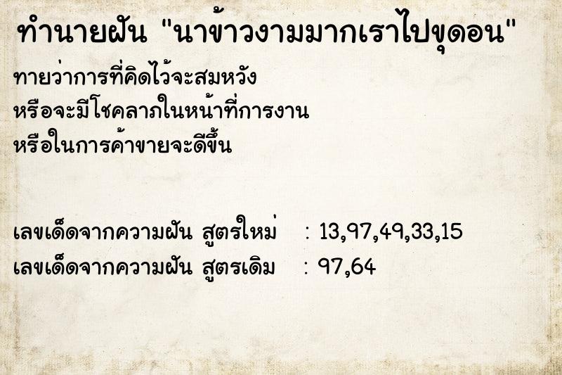 ทำนายฝันนาข้าวงามมากเราไปขุดอน ทำนายฝันทำนายฝันนาข้าวงามมากเราไปขุดอน