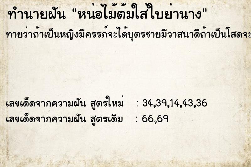 ทำนายฝันหน่อไม้ต้มใส่ใบย่านาง ทำนายฝันทำนายฝันหน่อไม้ต้มใส่ใบย่านาง