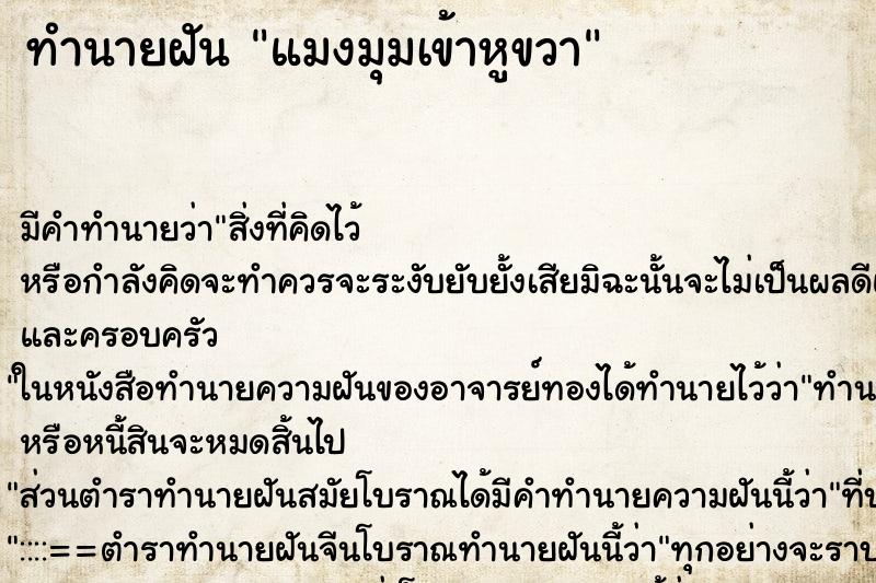 ทำนายฝันแมงมุมเข้าหูขวา ทำนายฝันทำนายฝันแมงมุมเข้าหูขวา
