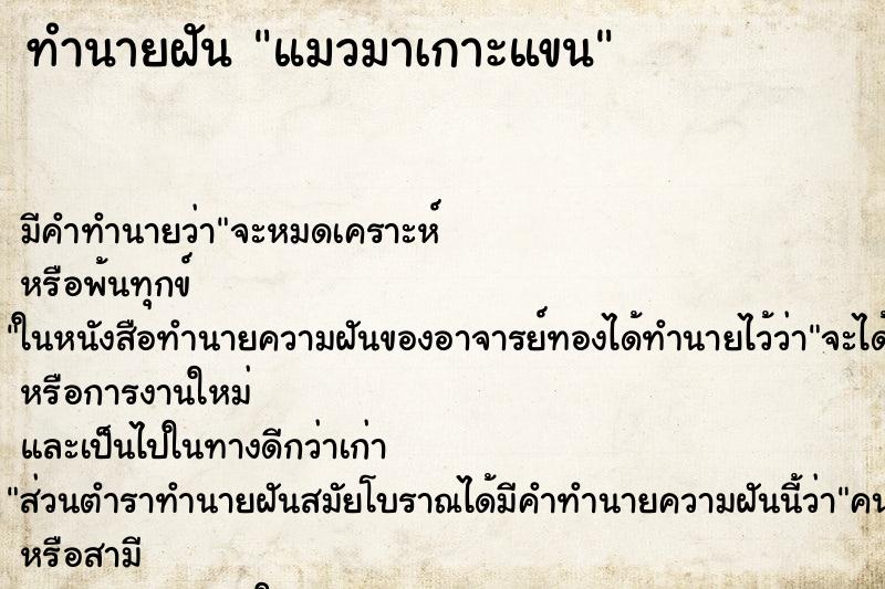 ทำนายฝัน แมวมาเกาะแขน ทำนายฝัน แมวมาเกาะแขน