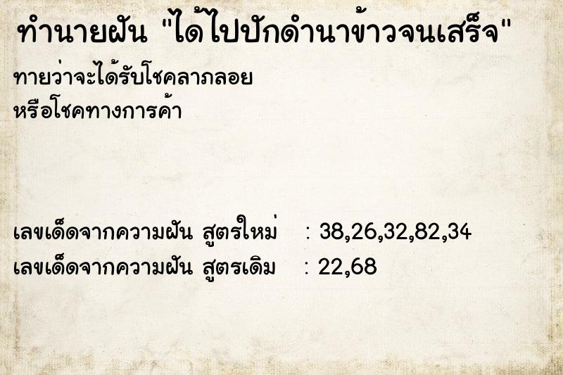 ทำนายฝันได้ไปปักดำนาข้าวจนเสร็จ ทำนายฝันทำนายฝันได้ไปปักดำนาข้าวจนเสร็จ
