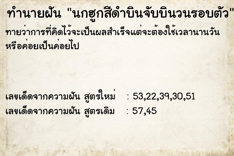 ทำนายฝันนกฮูกสีดำบินจับบินวนรอบตัว ทำนายฝันทำนายฝันนกฮูกสีดำบินจับบินวนรอบตัว
