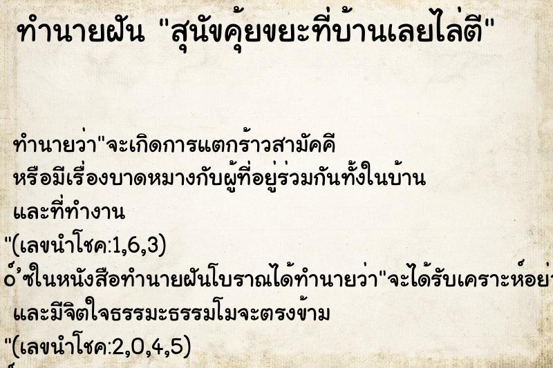 ทำนายฝันทำนายฝันสุนัขคุ้ยขยะที่บ้านเลยไล่ตี