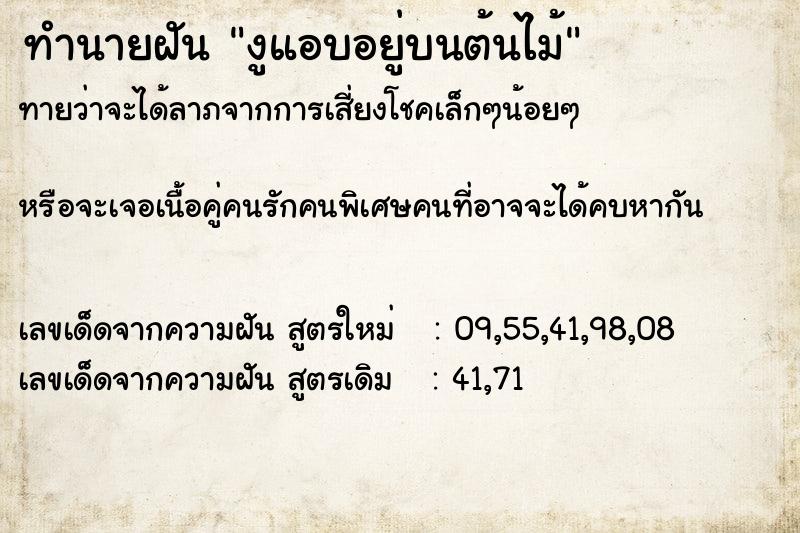 ทำนายฝันงูแอบอยู่บนต้นไม้ ทำนายฝันทำนายฝันงูแอบอยู่บนต้นไม้