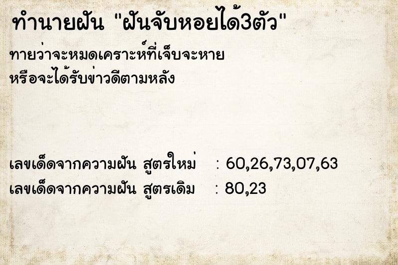 ทำนายฝันฝันจับหอยได้3ตัว ทำนายฝันทำนายฝันฝันจับหอยได้3ตัว