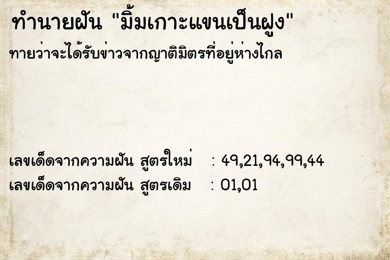 ทำนายฝันมิ้มเกาะแขนเป็นฝูง ทำนายฝันทำนายฝันมิ้มเกาะแขนเป็นฝูง