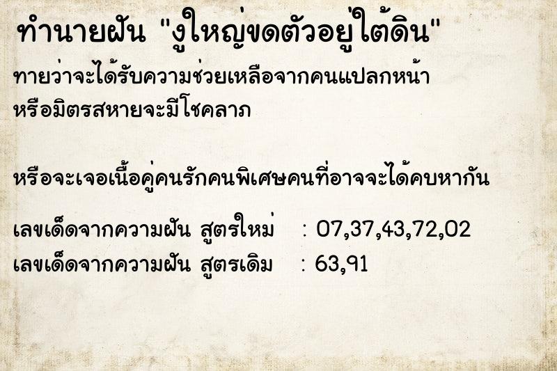 ทำนายฝันงูใหญ่ขดตัวอยู่ใต้ดิน ทำนายฝันทำนายฝันงูใหญ่ขดตัวอยู่ใต้ดิน