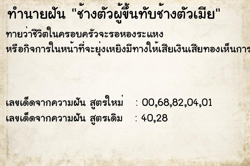ทำนายฝันช้างตัวผู้ขึ้นทับช้างตัวเมีย ทำนายฝันทำนายฝันช้างตัวผู้ขึ้นทับช้างตัวเมีย