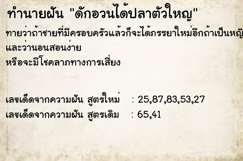 ทำนายฝันดักอวนได้ปลาตัวใหญ ทำนายฝันทำนายฝันดักอวนได้ปลาตัวใหญ