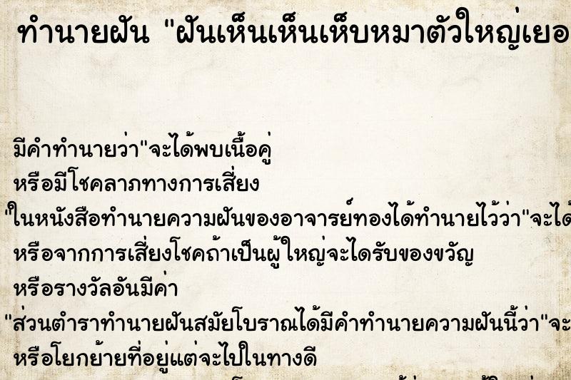 ทำนายฝัน ฝันเห็นเห็นเห็บหมาตัวใหญ่เยอะมาก ทำนายฝัน ฝันเห็นเห็นเห็บหมาตัวใหญ่เยอะมาก