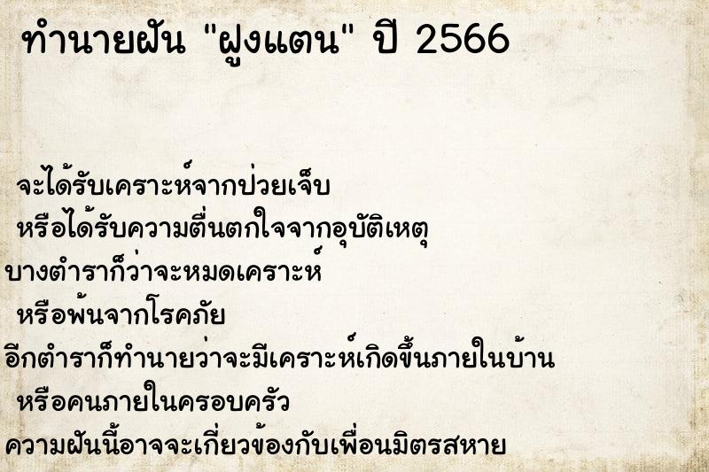 ทำนายฝันฝูงแตน ทำนายฝันทำนายฝันฝูงแตน