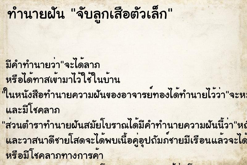 ทำนายฝัน จับลูกเสือตัวเล็ก ตำราโบราณ แม่นที่สุดในโลก