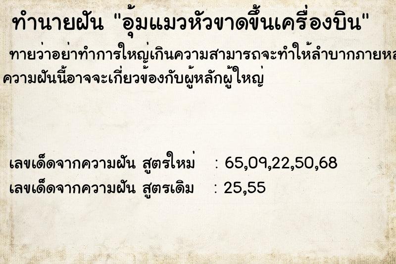 ทำนายฝันอุ้มแมวหัวขาดขึ้นเครื่องบิน ทำนายฝันทำนายฝันอุ้มแมวหัวขาดขึ้นเครื่องบิน