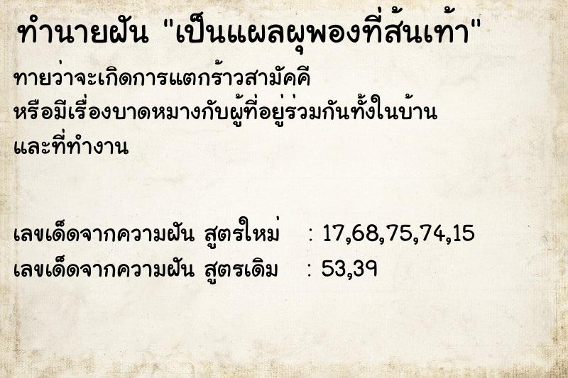 ทำนายฝันเป็นแผลผุพองที่ส้นเท้า ทำนายฝันทำนายฝันเป็นแผลผุพองที่ส้นเท้า