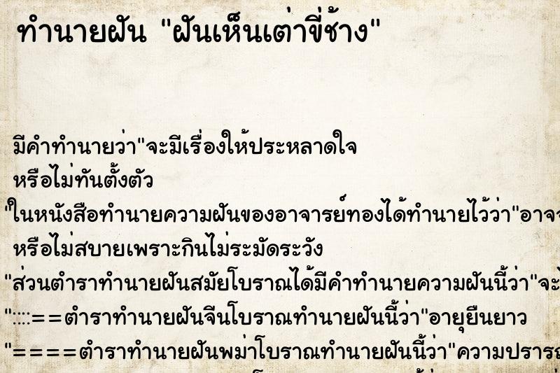 ทำนายฝันฝันเห็นเต่าขี่ช้าง ทำนายฝันทำนายฝันฝันเห็นเต่าขี่ช้าง