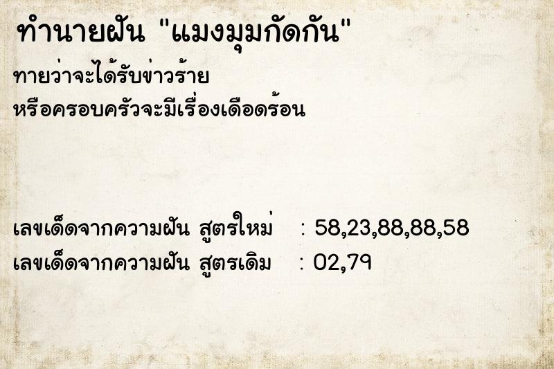 ทำนายฝัน แมงมุมกัดกัน ทำนายฝัน แมงมุมกัดกัน