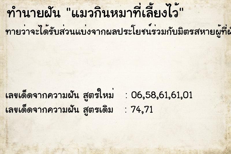 ทำนายฝันแมวกินหมาที่เลี้ยงไว้ ทำนายฝันทำนายฝันแมวกินหมาที่เลี้ยงไว้