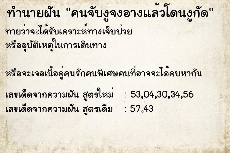 ทำนายฝันคนจับงูจงอางแล้วโดนงูกัด ทำนายฝันทำนายฝันคนจับงูจงอางแล้วโดนงูกัด