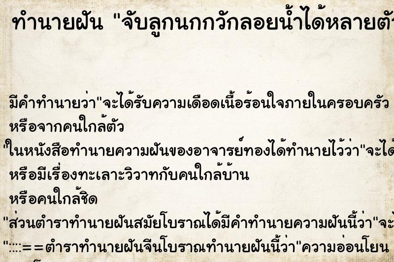 ทำนายฝันจับลูกนกกวักลอยน้ำได้หลายตัว ทำนายฝันทำนายฝันจับลูกนกกวักลอยน้ำได้หลายตัว