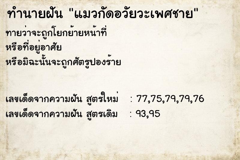 ทำนายฝันทำนายฝันแมวกัดอวัยวะเพศชาย