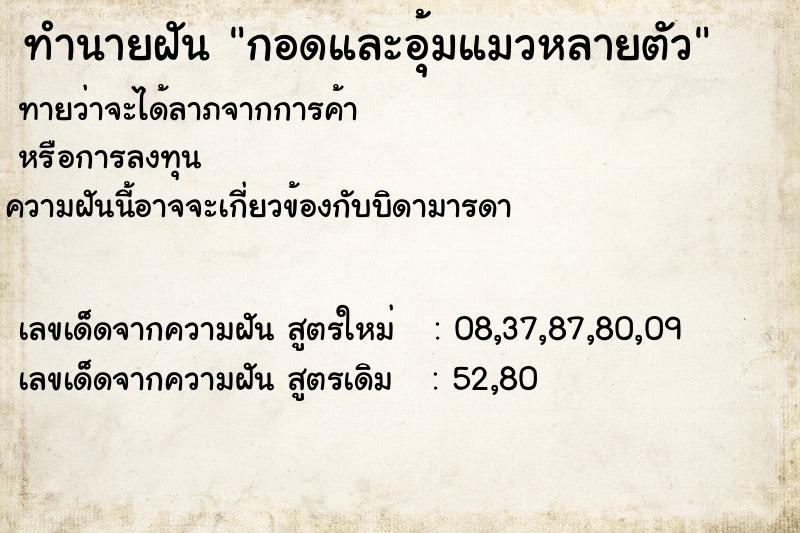 ทำนายฝันทำนายฝันกอดและอุ้มแมวหลายตัว