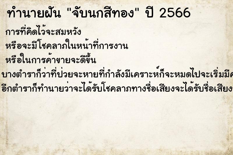 ทำนายฝัน จับนกสีทอง ทำนายฝัน จับนกสีทอง