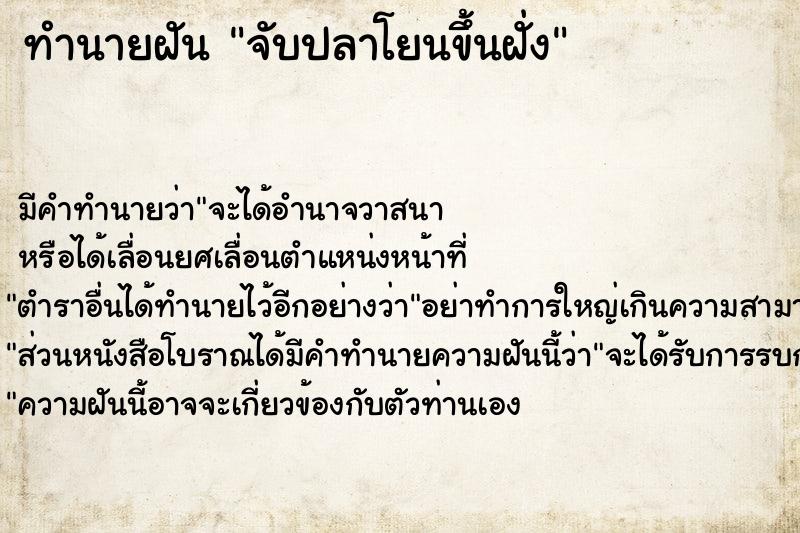 ทำนายฝันจับปลาโยนขึ้นฝั่ง ทำนายฝันทำนายฝันจับปลาโยนขึ้นฝั่ง