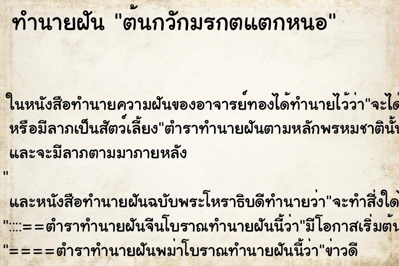 ทำนายฝัน ต้นกวักมรกตแตกหนอ