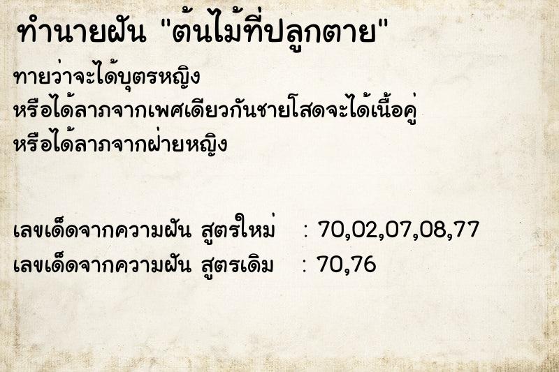 ทำนายฝันทำนายฝันต้นไม้ที่ปลูกตาย