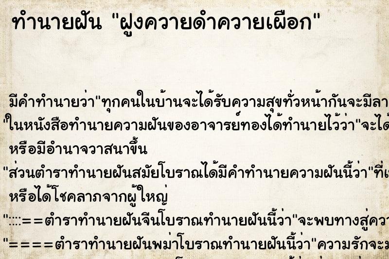 ทำนายฝัน ฝูงควายดำควายเผือก ทำนายฝัน ฝูงควายดำควายเผือก