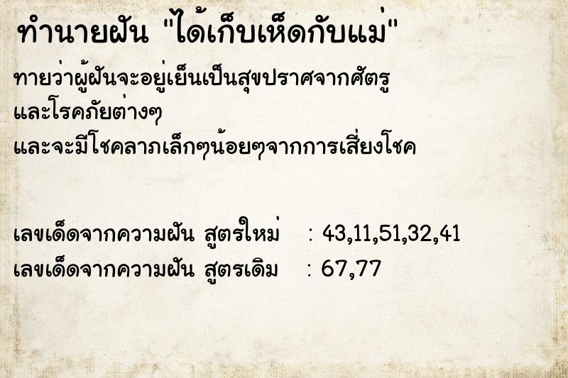 ทำนายฝันทำนายฝันได้เก็บเห็ดกับแม่