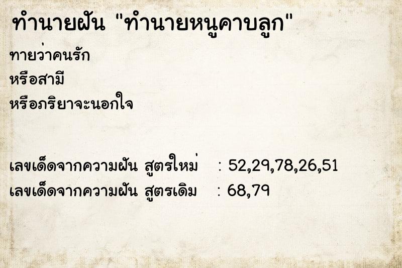 ทำนายฝันทำนายหนูคาบลูก ทำนายฝันทำนายฝันทำนายหนูคาบลูก