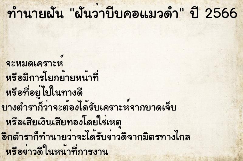 ทำนายฝันฝันว่าบีบคอแมวดำ ทำนายฝันทำนายฝันฝันว่าบีบคอแมวดำ