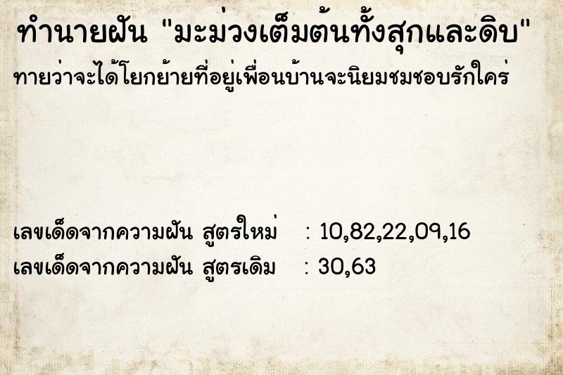 ทำนายฝันมะม่วงเต็มต้นทั้งสุกและดิบ ทำนายฝันทำนายฝันมะม่วงเต็มต้นทั้งสุกและดิบ